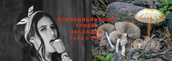 дживик Строитель