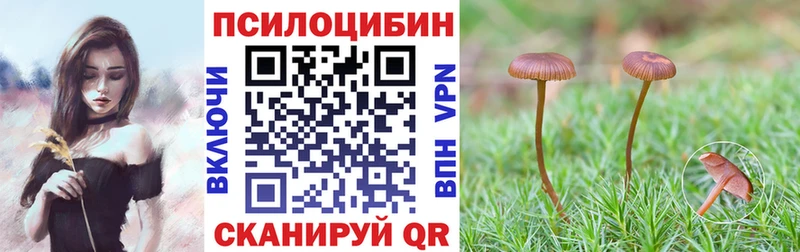 blacksprut как войти Ядрин Псилоцибиновые грибы ЛСД